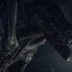 Ilustración para el artículo titulado Las secuelas de Prometheus explicarán por fin quién creó las míticas criaturas de Alien